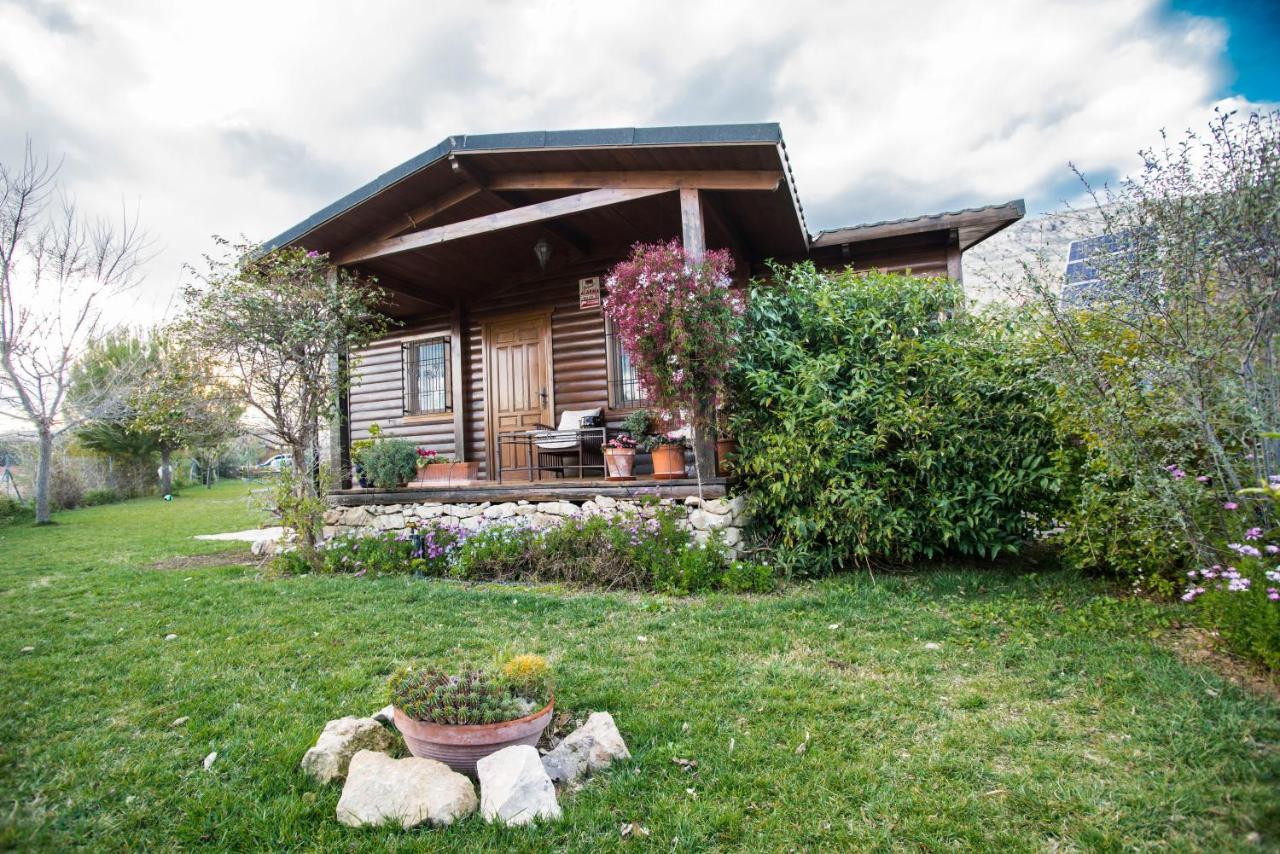 Cabana De Campo Agost エクステリア 写真