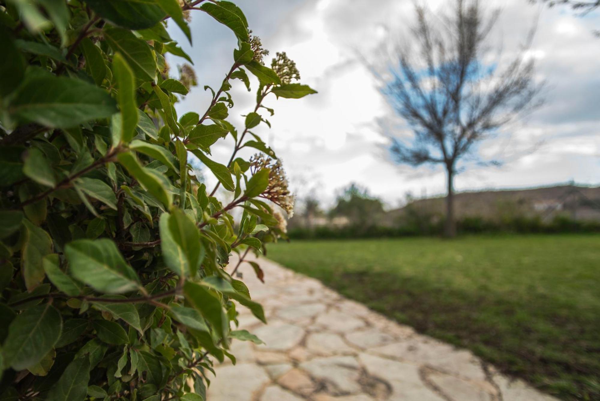 Cabana De Campo Agost エクステリア 写真